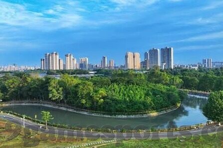 捷报足球比分直播平台-捷报足球比分直播平台，球迷的实时战场，激情永不落幕