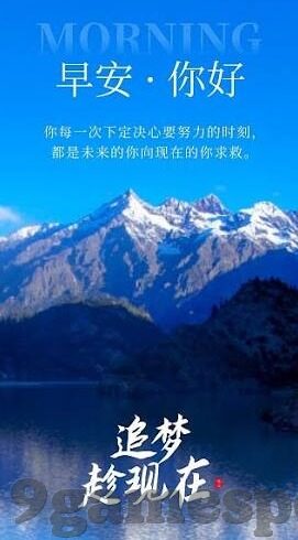 真实的足球比分-揭秘真实的足球比分，数据背后的激情与策略交响曲