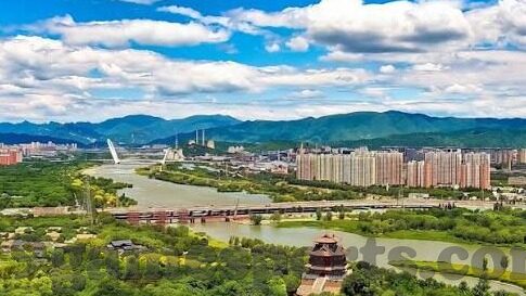 足球比分曼城-曼城足球比分，荣耀征程中的数字密码