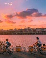 足球比分网即时比分球探-足球比分网与即时比分球探，数字时代的足球观赛新体验