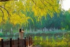 足球比分中奖-从足球比分中奖看理性购彩与足球文化的深度融合