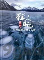 足球即時比分網-探秘足球即时比分网，绿茵场的数字心跳与球迷的狂欢盛宴